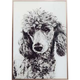 Bild Frame Alu Poodle 60x40cm