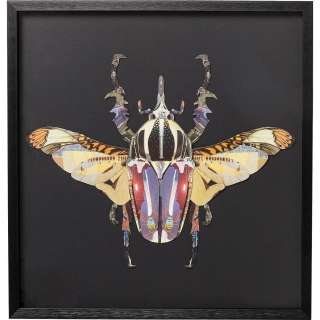 Bild Frame Art Beetle 60x60cm